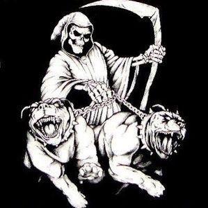 Meet your Posher, Leroy